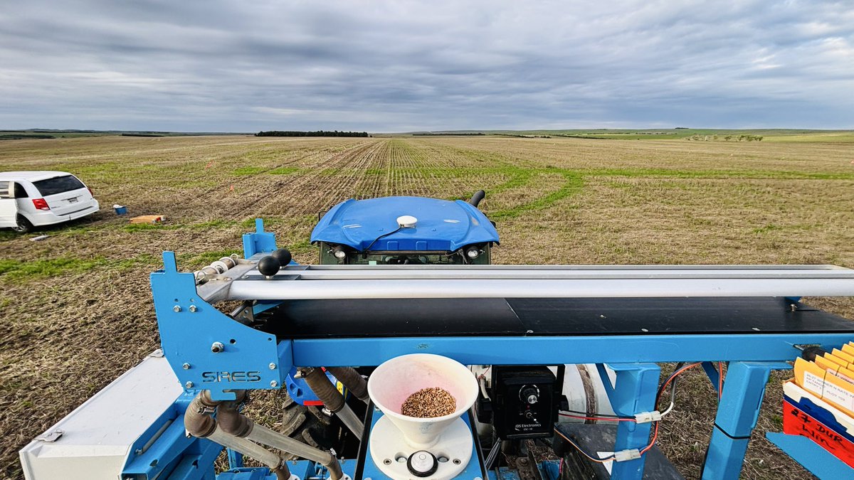 WheatInnovation's tweet photo. Ideal, SD has ideal planting conditions❤️🌧️🌾🙏 for a change, it has been very dry Fall for the last two years. #NotillWorks #OatResidue @wheatsd @SDStateCAFES @idealfarmer 🙏
First field is planted off to the next one🌾🌾👏#TeamWheat
Ignore the re growth it’s has been sprayed. https://t.co/unUaIpLHKd