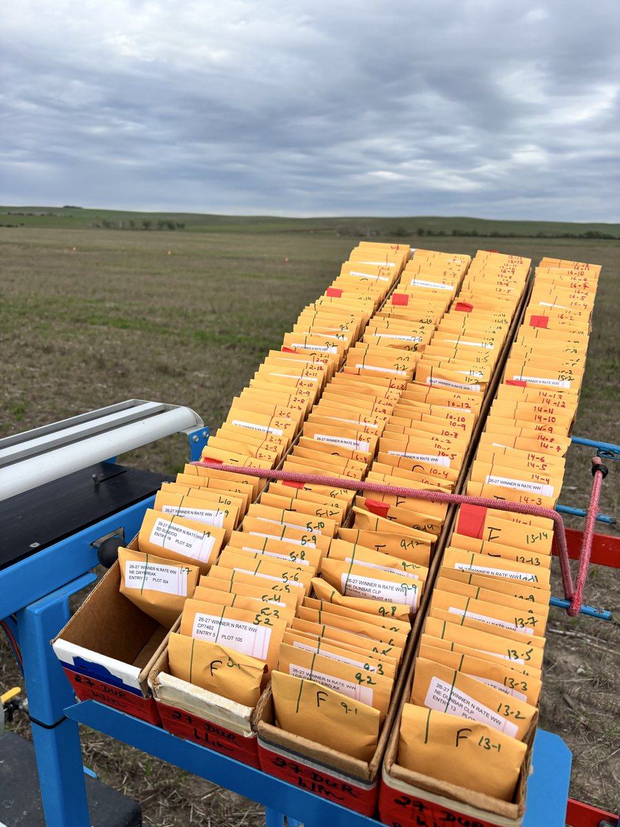 WheatInnovation's tweet photo. Ideal, SD has ideal planting conditions❤️🌧️🌾🙏 for a change, it has been very dry Fall for the last two years. #NotillWorks #OatResidue @wheatsd @SDStateCAFES @idealfarmer 🙏
First field is planted off to the next one🌾🌾👏#TeamWheat
Ignore the re growth it’s has been sprayed. https://t.co/unUaIpLHKd