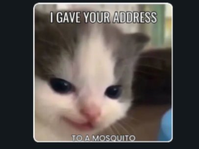 CodedForAmara's tweet photo. Me to every sub who keeps testing my patience without sending: 🦟 https://t.co/wUfPMO4aBe