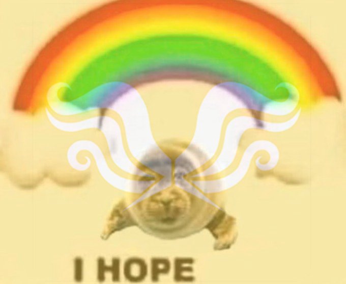 Lucillily tweet picture
