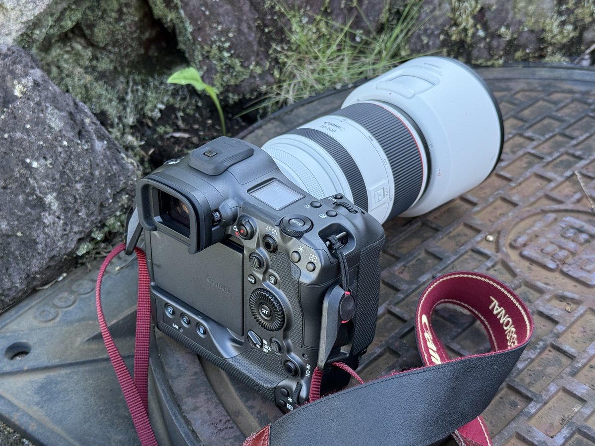 taiyou_syasin12's tweet photo. 囲み撮影会をやっていると、いつも思うのですが･･･「キヤノンにも50-150mmのレンズが欲しい」

全身を撮影するのに70mmではあと少し足らない。よりを撮影するのに200mmまでは使わない。そんなシチュエーションが多々あります。 https://t.co/HZy8K8ArTE