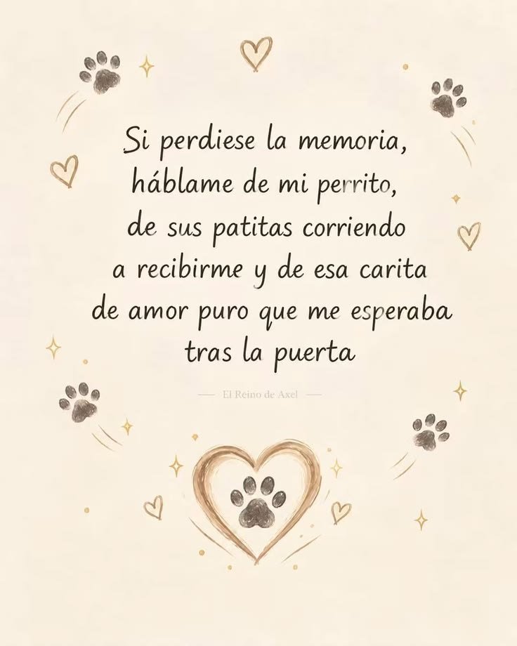 rey_latino33087's tweet photo. https://t.co/8bWVqhQBpN