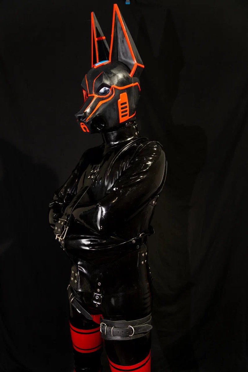 Fritzzzhz's tweet photo. Sometimes you have to subdue Anubis so he’ll become your pet. But the question is, will you be able to do it?😈😈😈

Mask by:@Pupjoi 

Costume and shirt by:@Rubber_dpt 
#latex #bdsm #rubberAnubis #rubberdrone https://t.co/1XqeLM5jCn