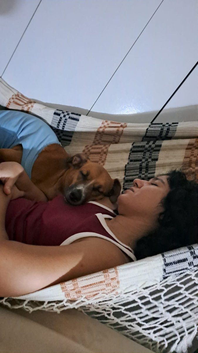 SharonC11's tweet photo. É bizarro o tanto que eu amo a Luli (sim, é em homenagem ao Lula nome dela https://t.co/biMRmHR3eL