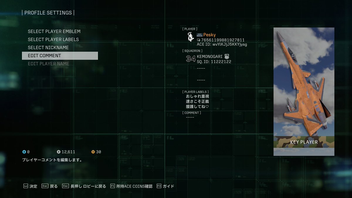cranert_fal's tweet photo. 見かけたらよろしくでやんす
#ACE8
#ACEONLINE https://t.co/mWZQ9OwL17