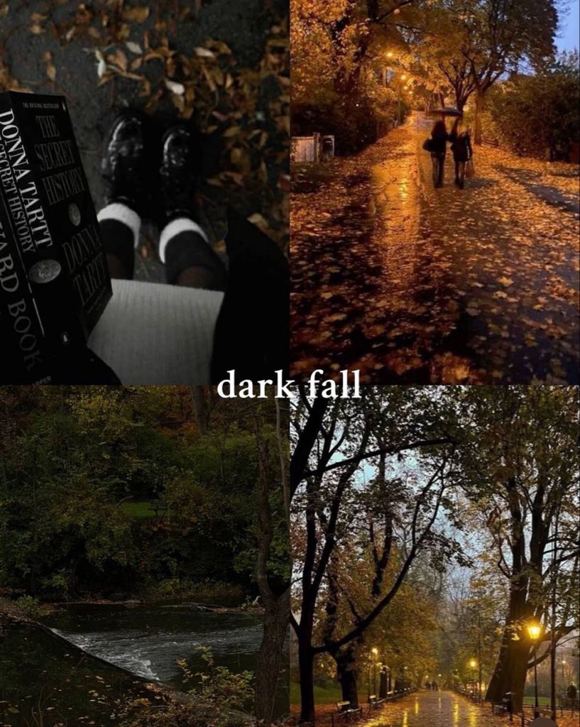 spooky_nature's tweet photo. dark fall 🍂 https://t.co/Wkoi2s4nj9