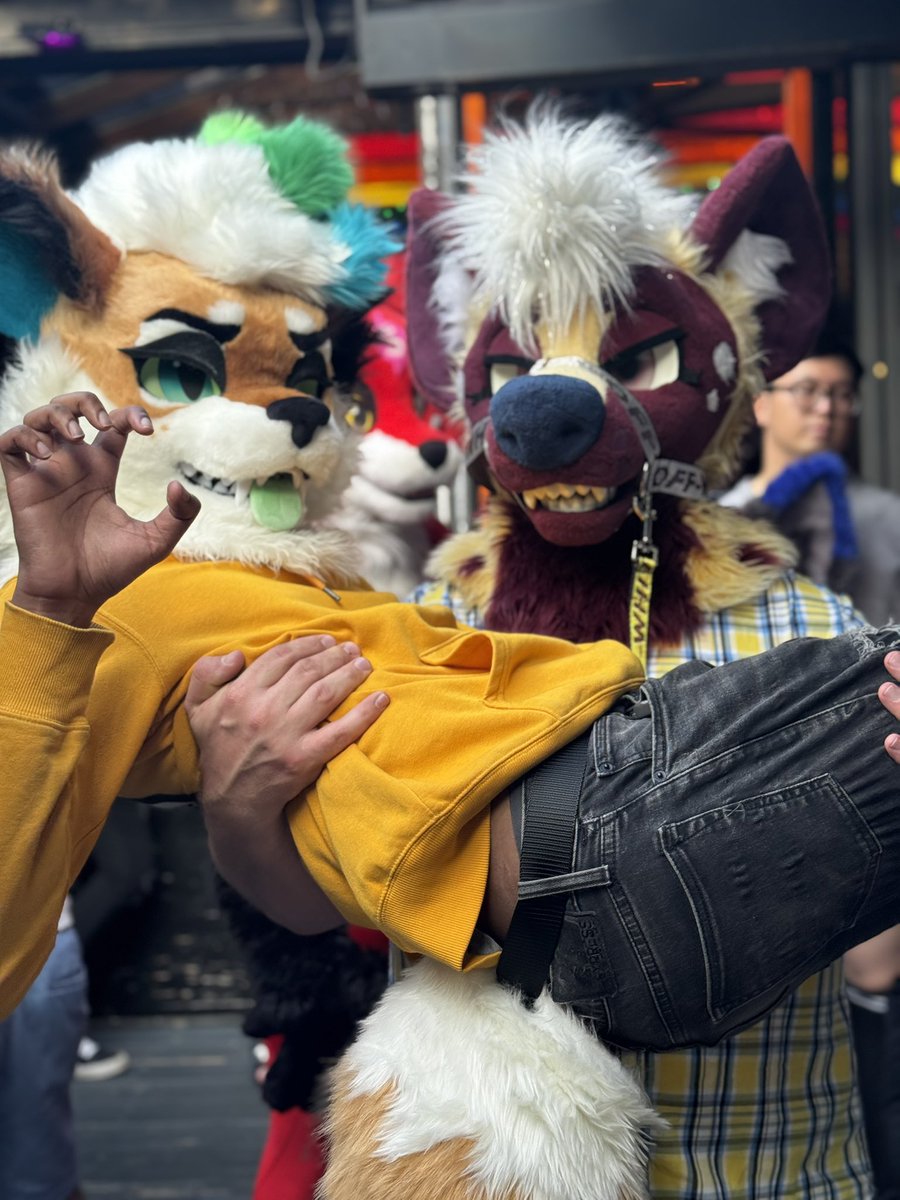 Dazai_STI's tweet photo. Happy fursuit friday, i be giving uppies nonstop @LewdSoba https://t.co/YhcwURCntn