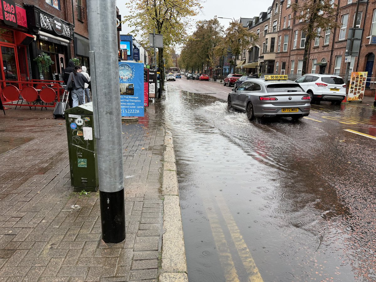 alaninbelfast's tweet photo. Can you work your magic again @MatthewOToole2 … Botanic Avenue is pretending to be Hillsborough lake https://t.co/6DyotTKE5f