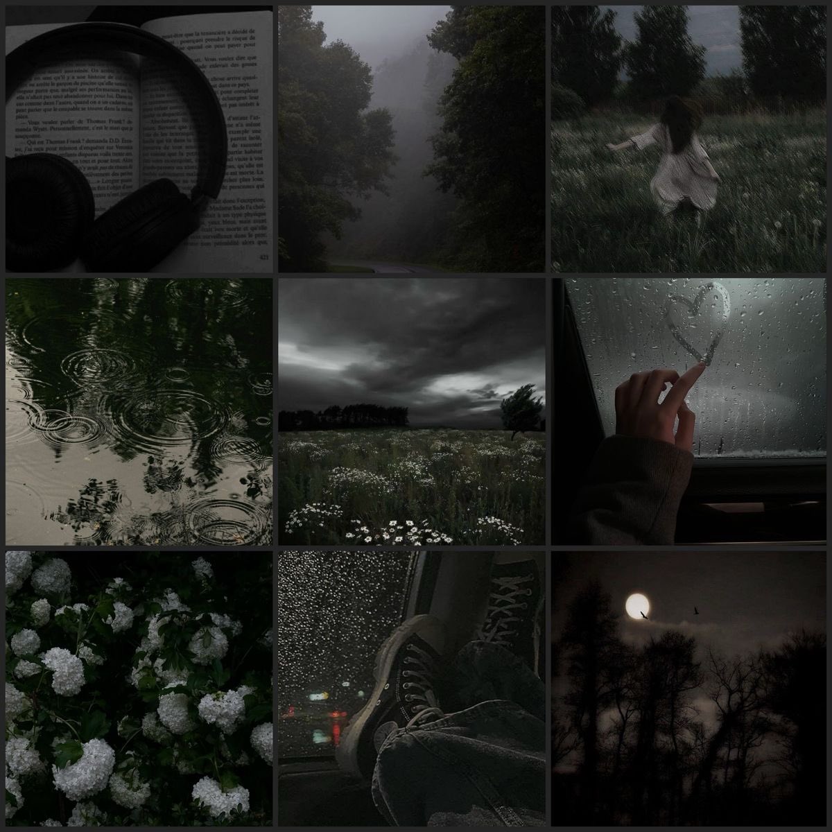 gloomyvisuaIs's tweet photo. dark gloomy nature. https://t.co/wmJKnLRa1n