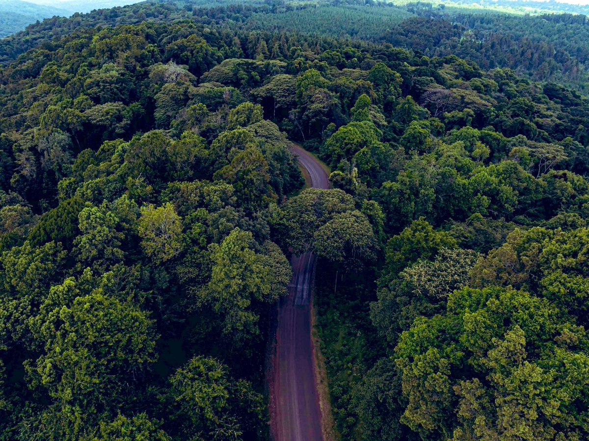 Kapyoseiin's tweet photo. Kabartonjo in Baringo could be ideal for some Ninja movie. https://t.co/TmeH2sTazm