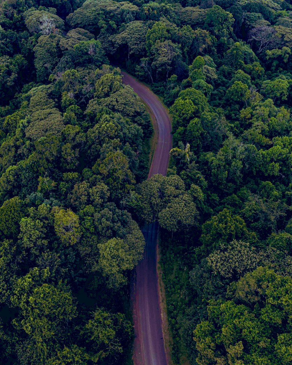 Kapyoseiin's tweet photo. Kabartonjo in Baringo could be ideal for some Ninja movie. https://t.co/TmeH2sTazm