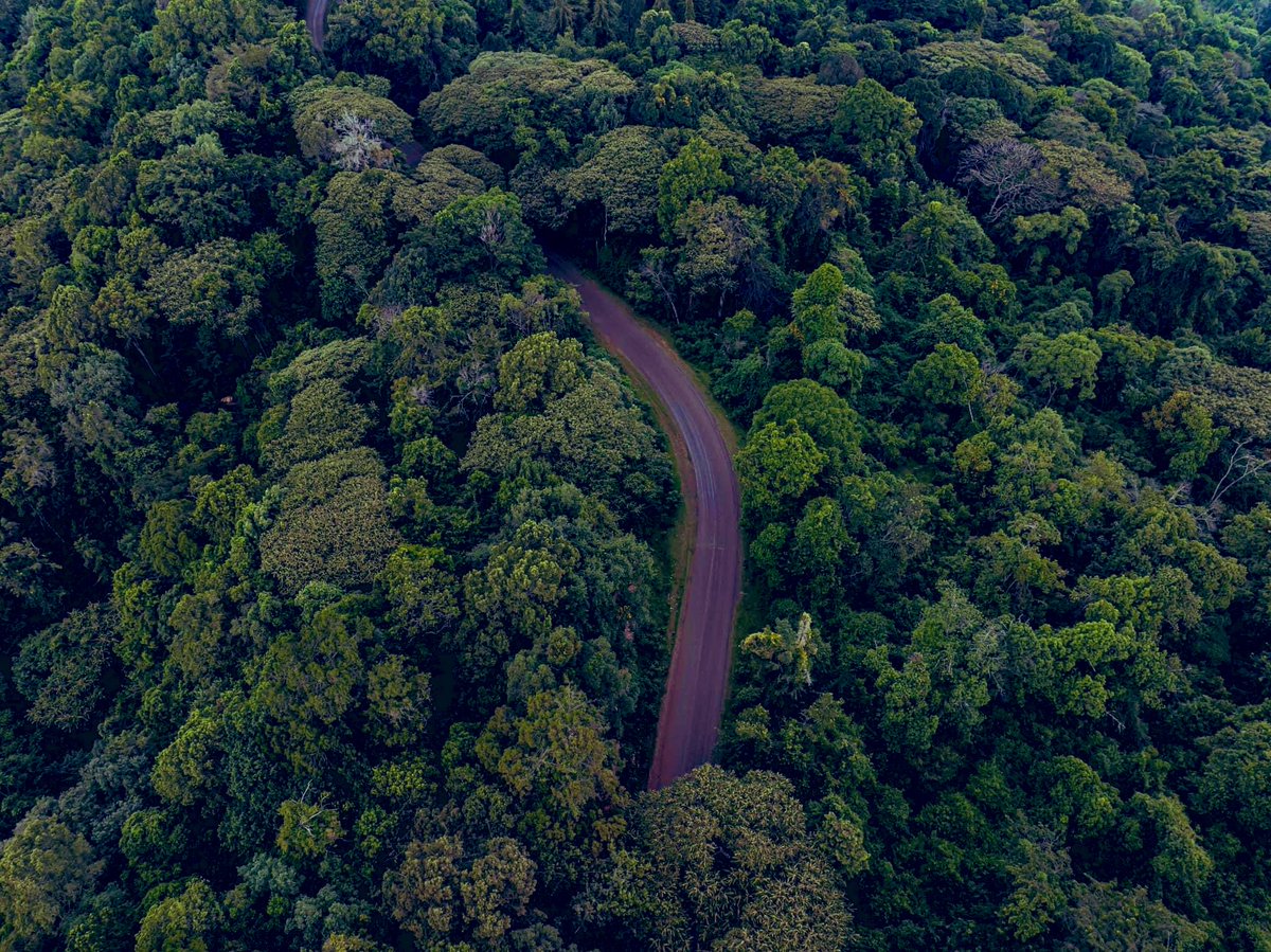 Kapyoseiin's tweet photo. Kabartonjo in Baringo could be ideal for some Ninja movie. https://t.co/TmeH2sTazm