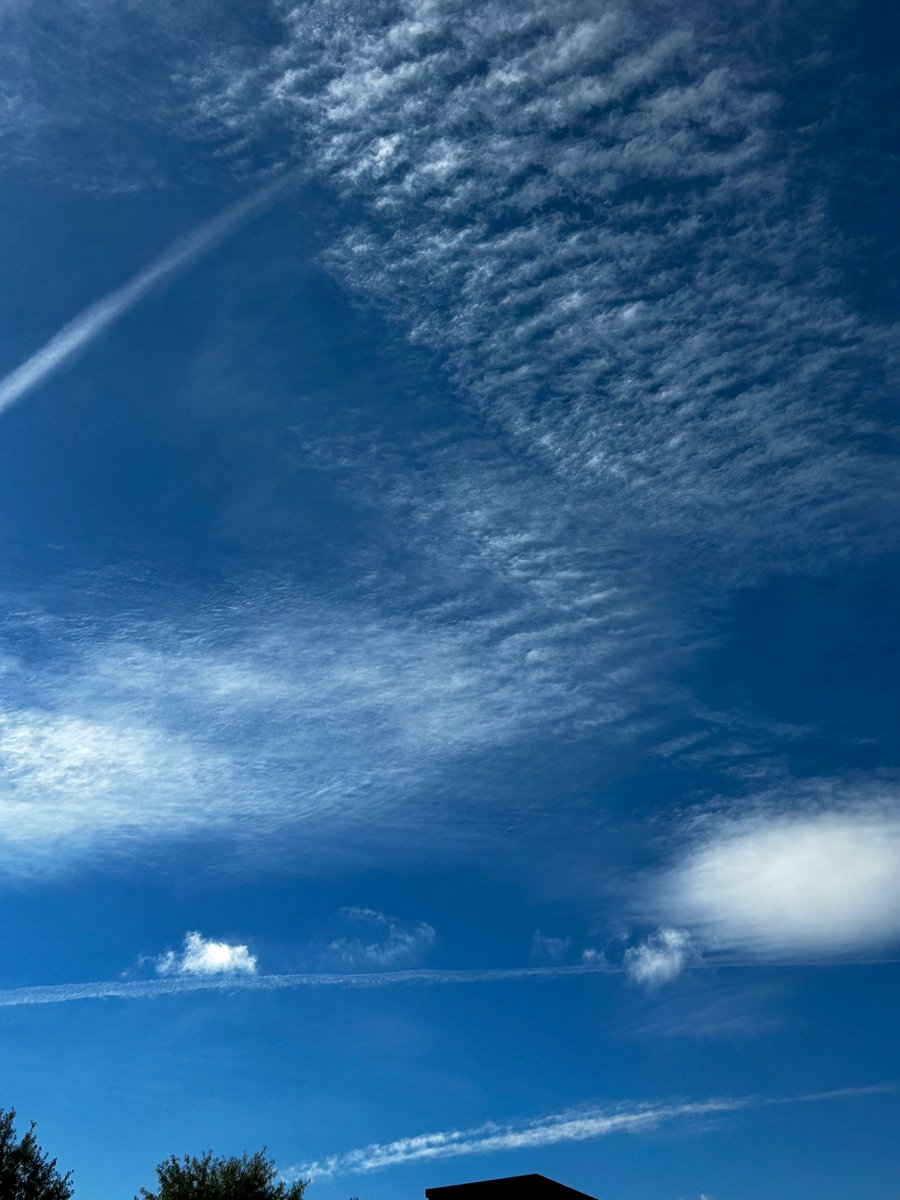 KellerWomack's tweet photo. Good morning from Birmingham, Alabama where we are being treated to the full panoply of the NOAA toolkit:
✅ Microwaved clouds
✅ Fake clouds
✅ Chemtrail clouds
Thanks NOAA! So glad you are in charge of our ocean and atmosphere!! https://t.co/pqWkC0O5oH
