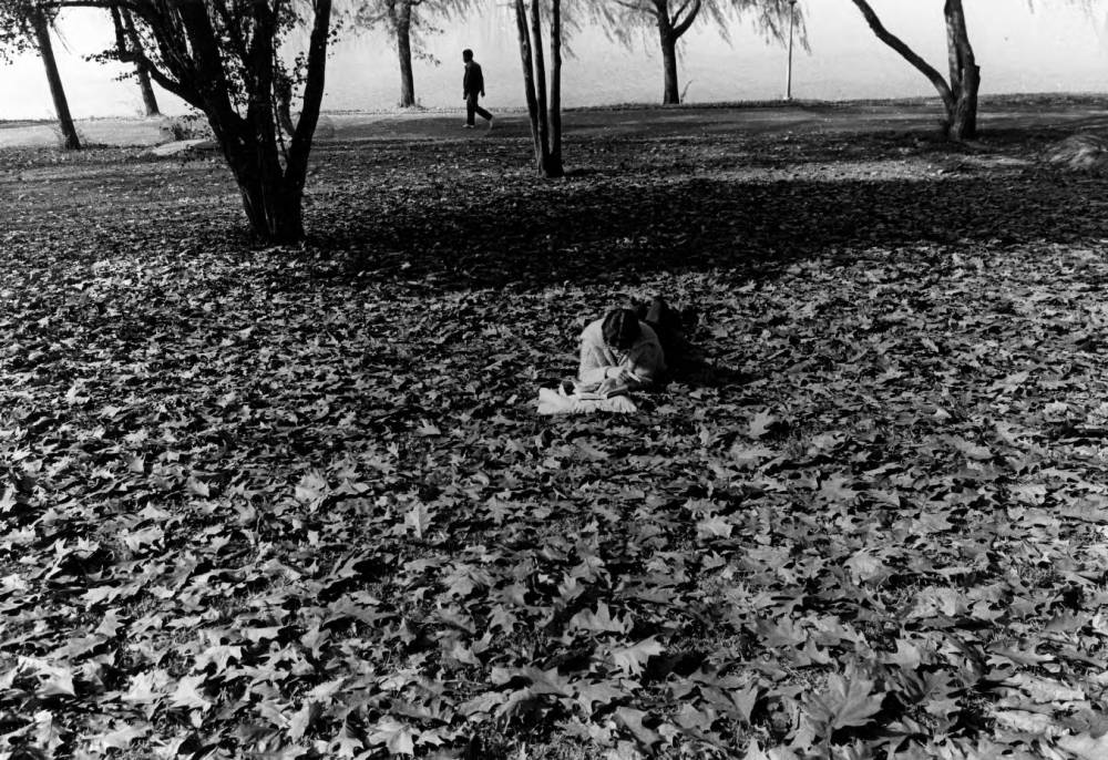 FDUWhatsNew's tweet photo. Study season, but make it autumn aesthetic 📚 #FDUWhatsOld

📸 FDU Libraries Digital Archives https://t.co/AGfKQfXY3d