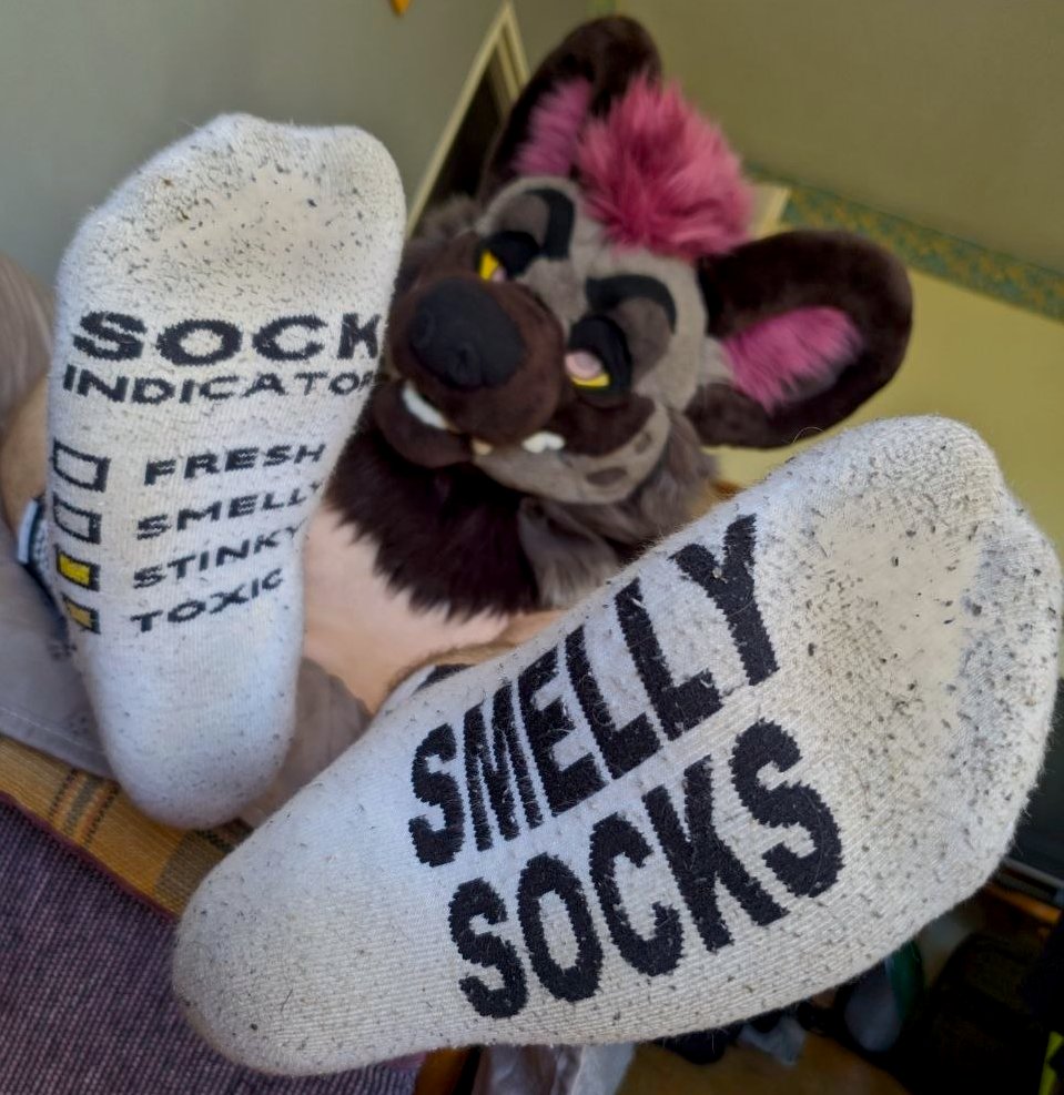 smellyrhapsi's tweet photo. happy socktober

now celebrate by jacking off to my smelly socks https://t.co/Qnk3f33FKi