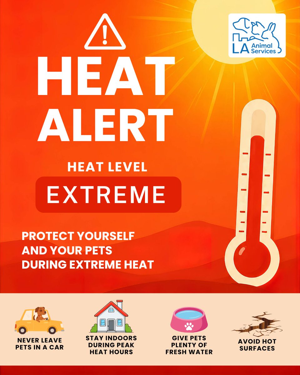 LACityPets's tweet photo. With a heat advisory issued in Los Angeles, LA Animal Services would like to remind pet owners that too much heat can be extremely dangerous or even fatal for our pets. When it’s too hot for you, it’s even hotter for our pets.

#LACityPets #HotWeather #PetSafety #Hot #LosAngeles https://t.co/ebJuLGwWuZ