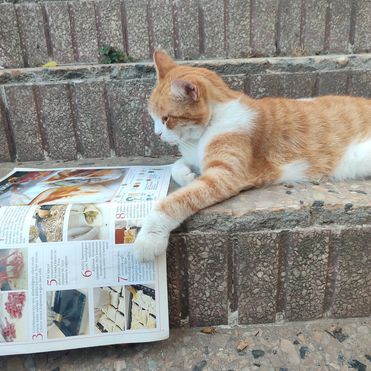 vetra_skaznaya's tweet photo. kitap okuyan sarmiş https://t.co/ufvUUl7I4G
