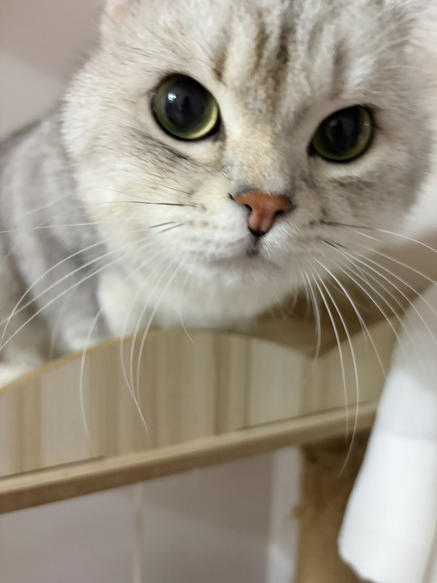 wtmlaila111's tweet photo. 超级可爱呀 https://t.co/hOZ22QTqOS