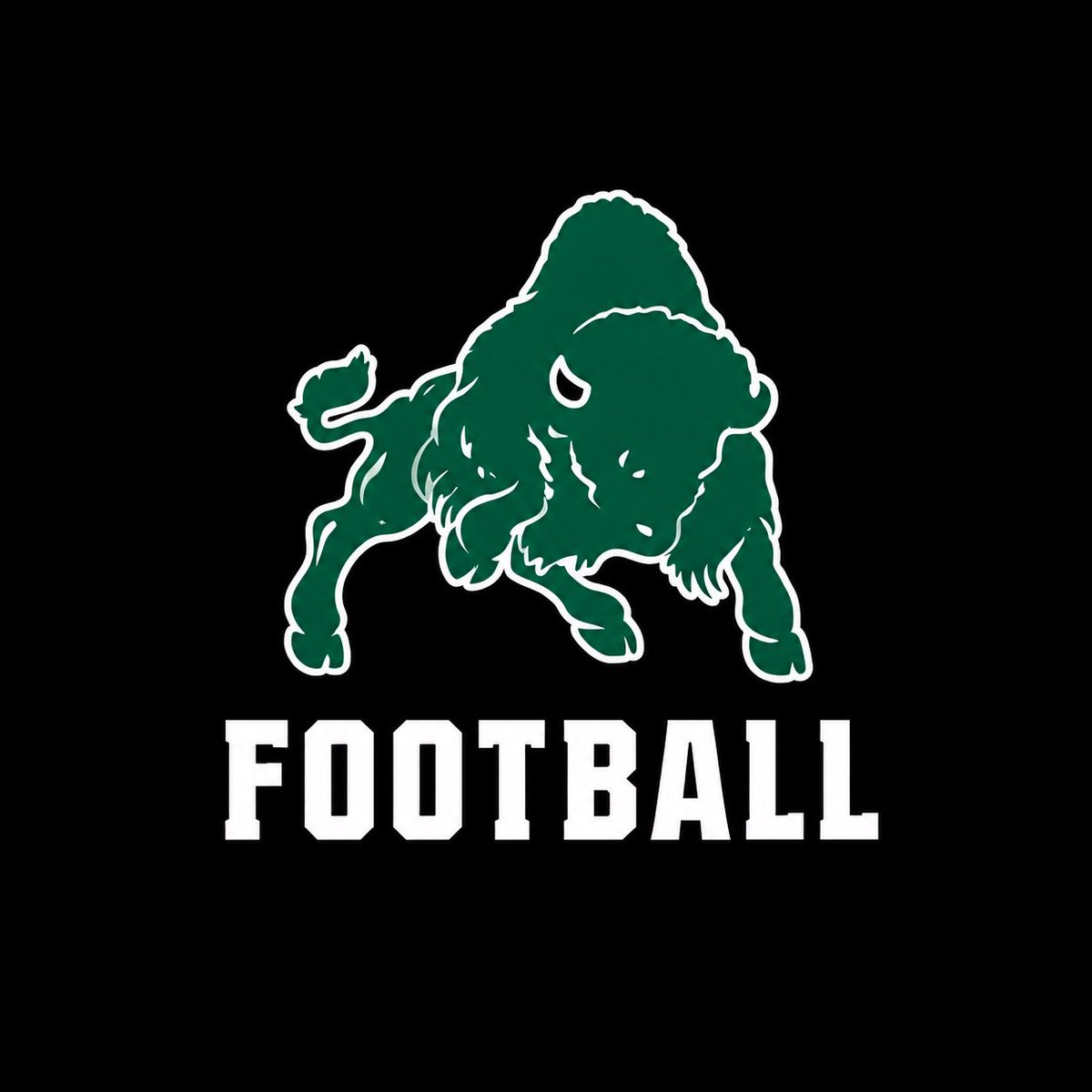 Romeofloreaa's tweet photo. Thank you to @BethanyWV_FB for the GAMEDAY INVITE ! GO BISON 🦬!!! @BethanyWV_Bison @CoachBlake41 https://t.co/R9FeOJW4fn