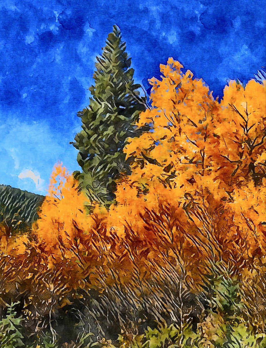 FathedRocks's tweet photo. FALL IS HERE !
https://t.co/7TCjsKDZ17
#fall #colors #peep #mountains #yellow https://t.co/oRDCiqakhD