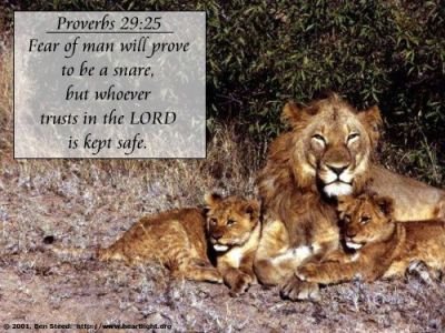 justwally48's tweet photo. Fear of man will prove to be a snare, but whoever trusts in the Lord is kept safe. — Proverbs 29:25 https://t.co/tNit9E5vfm