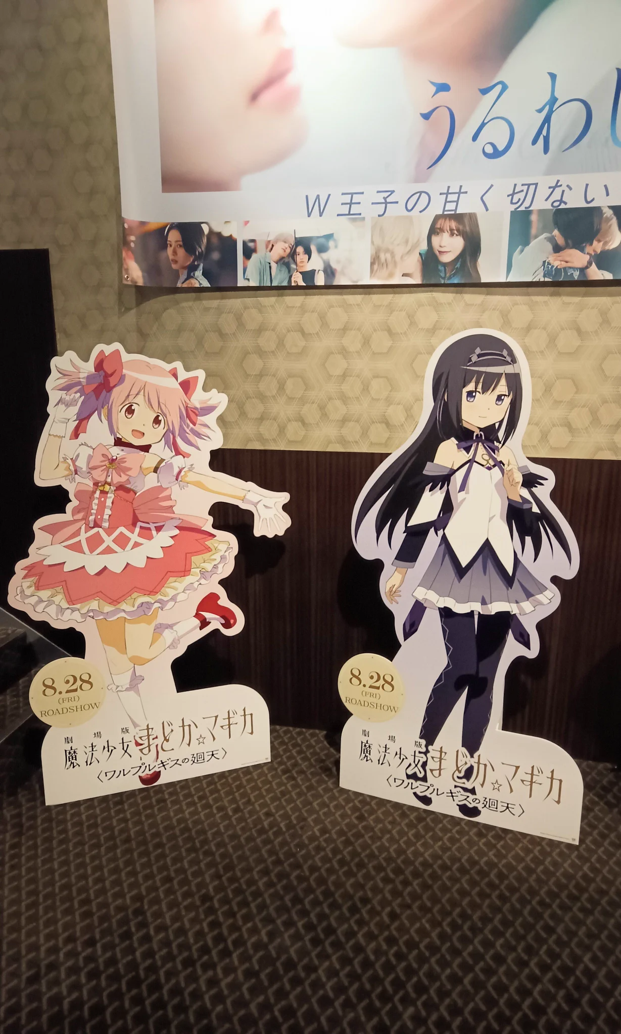魔法少女まどか☆マギカ ב-X: ୨୧---------------------୨୧