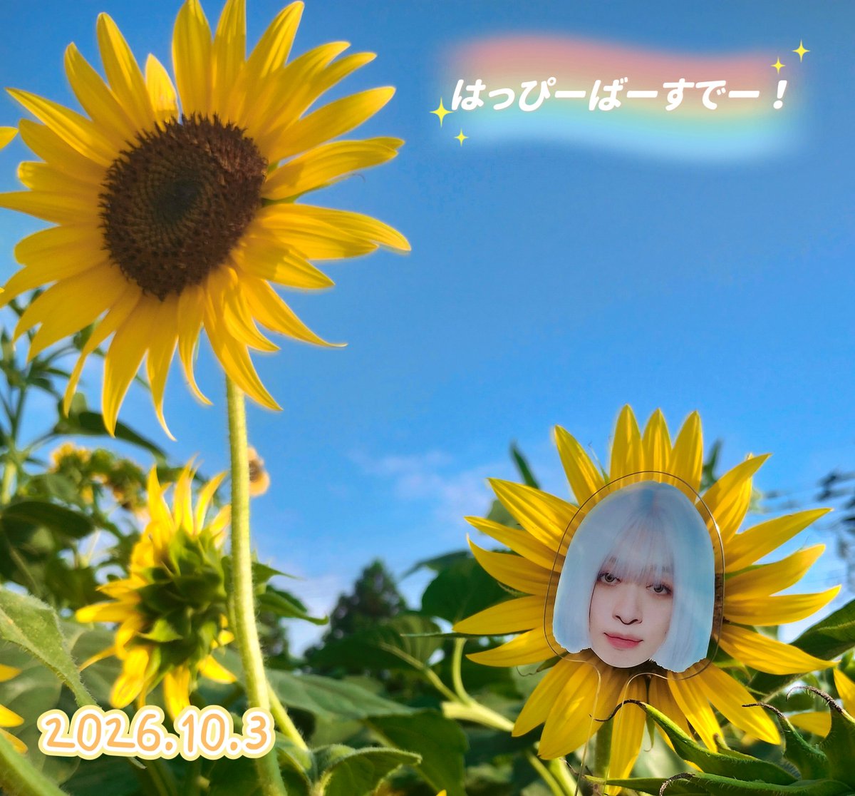 nyarurun030's tweet photo. センラさん！お誕生日おめでとうございます！
毎日センラさんの声、歌、お話に元気もらってます！
またセンラさんに会える日を楽しみに頑張ります💪
これからもずっと大好きです💛
#センラ誕生祭2026
#センラ生誕祭2026
@sen_sen_sen_sen 
@kisenra421d https://t.co/98k8uUdofC