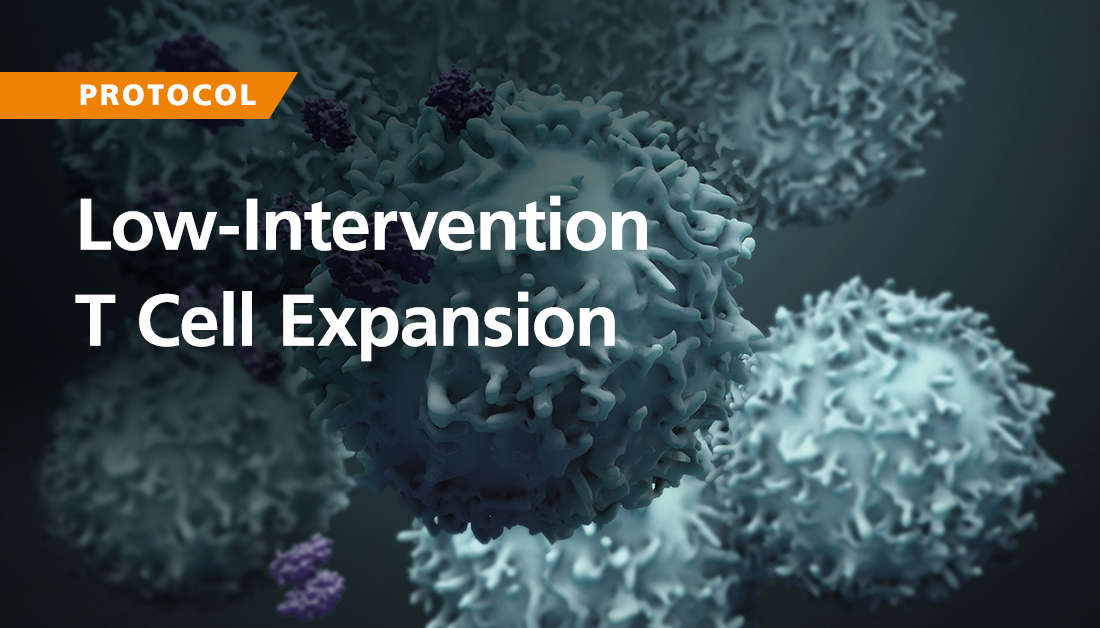 STEMCELLTech's tweet photo. Frequent culture interventions add operational risk to T cell manufacturing. Our low-intervention protocol pairs GMP ImmunoCult™ reagents with G-Rex® Bioreactors for scalable expansion with fewer manipulations.

Read the free protocol: https://t.co/Hxu7SmalPG

#CellTherapy https://t.co/N0e273OXtS