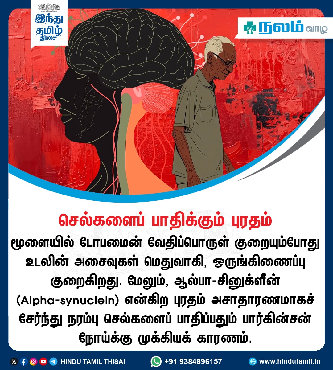 TamilTheHindu's tweet photo. செல்களைப் பாதிக்கும் புரதம்

#AlphaSynuclein https://t.co/jekLnyI67c