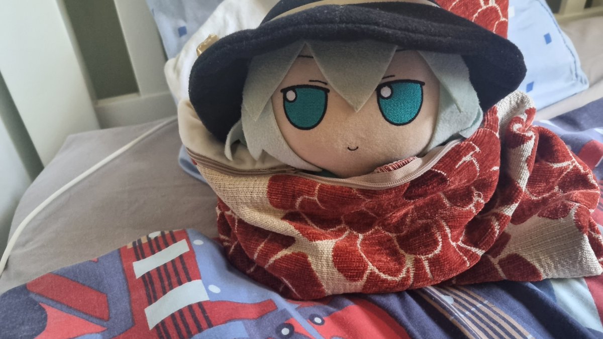 HmsHood473508's tweet photo. In kooshis eyes, even a spare pillow case is an opportunity for comfiness! https://t.co/YNZte50vHO