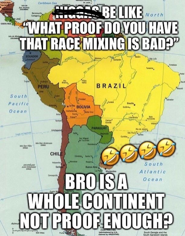 broodingzn's tweet photo. @Viajantestoria2 é só sair na rua e olhar na cara do brasileiro médio https://t.co/Dx40lrzdmb