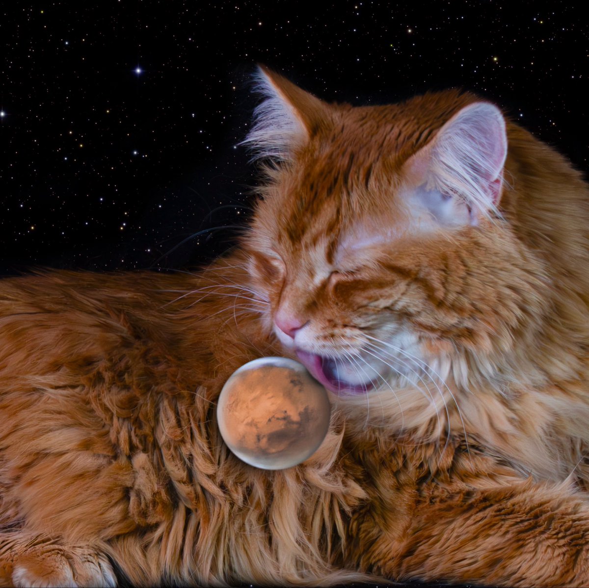 AJamesMcCarthy's tweet photo. Gregory giving Mars a much-needed bath.

This composite photo made from a real astrophoto captured with my 14” telescope is March’s image in my 2027 Cosmic Gregory Calendar!

All orders come with a digital bundle full of high res downloads. Preorder here: https://t.co/sRyECQgU9X https://t.co/2P9NkflNIR