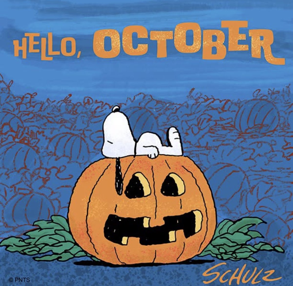 Peanuts_4Fans's tweet photo. Hi, October! #Peanuts https://t.co/KoWHua77Th