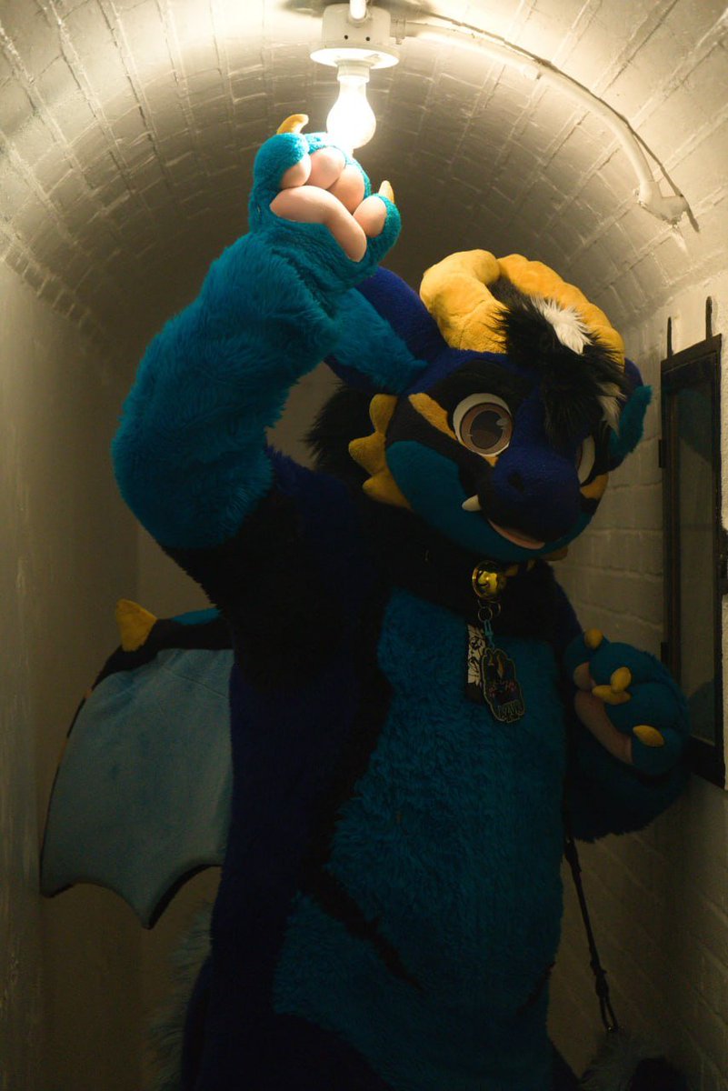 Azur_thedragon's tweet photo. When i have an idea #fursuitfriday

📸 @hudson_deer
🪡 @KiaFursuits https://t.co/9rkTl5SRcr