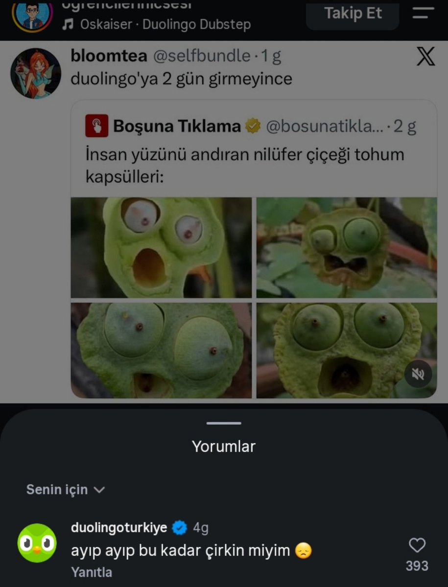 selfbundle's tweet photo. ya oha ahzhshhashhshshsywysysh https://t.co/kvh9PnOZNx