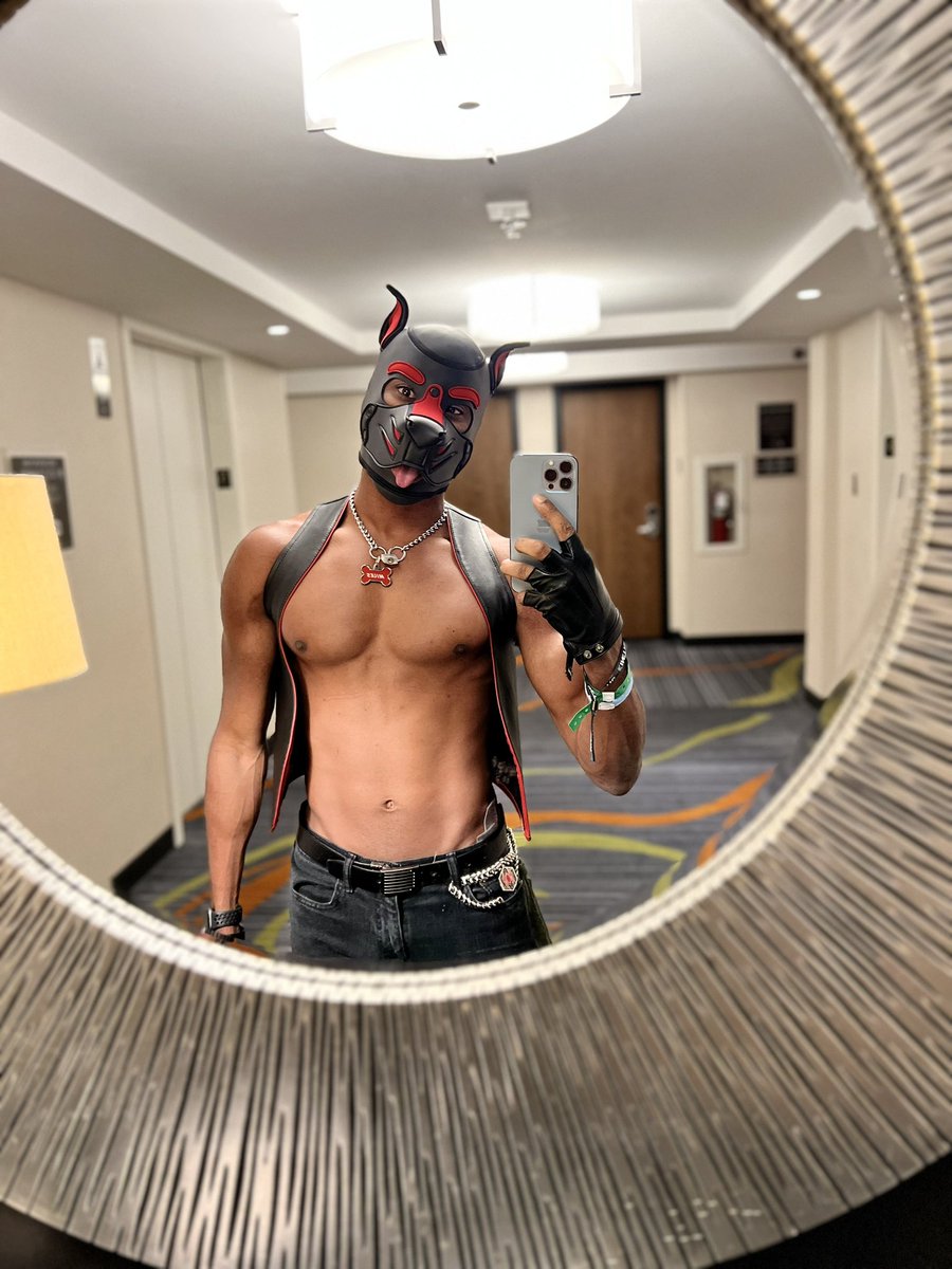 MilesSwimDisco's tweet photo. @DieterWolfe_XXX God, you are such an incredibly sexy pup. https://t.co/nF9v5m6QiJ