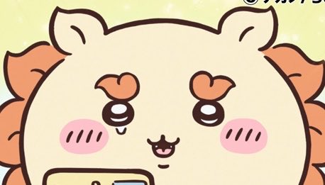 i_am_chanshiba's tweet photo. 偉いでーーーーーーーーーーーーーーす！！！！！！！！！！！！！！！！！！（涙）（涙）（涙）（涙）（涙）（涙）（涙） https://t.co/YK2rUMQiaS