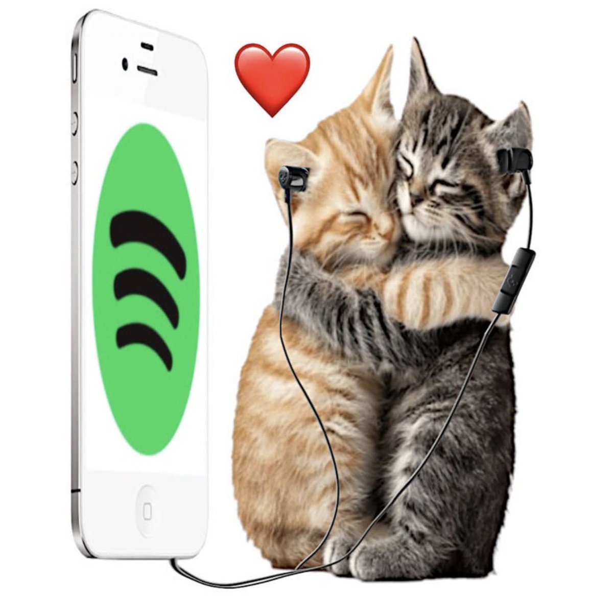 Notrealuserrr's tweet photo. 🤞🏼🤞🏼🤞🏼🤞🏼❤️ https://t.co/1pEqQPkHBn