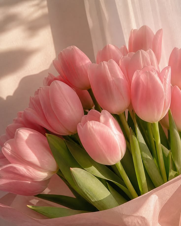 Chii_2006's tweet photo. Day 2 💫✨

Xavier as golden lilies 🪷
and Chii as pink tulips 🌷

Golden lilies of majestic beauty symbolizes joy, prosperity and sovereignity 💫💛✨

Pink tulips symbolizes affection, caring and gentle love 🩷

#Xavier1016HappyBirthday #31DaysofXavtober #HappyOctovier https://t.co/gY4s6K7LXE