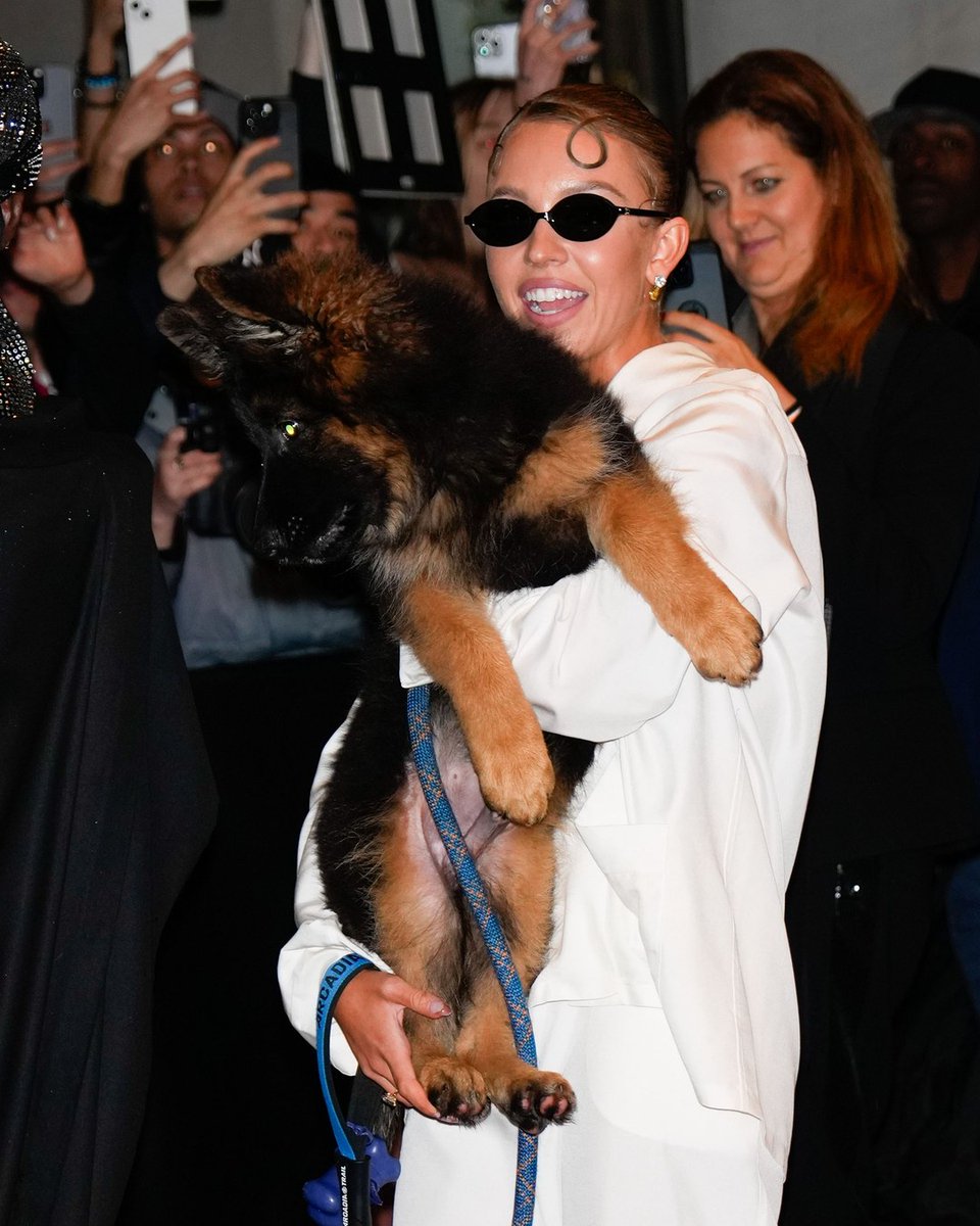markolukac's tweet photo. Sydney Sweeney i štencić Sully Bear 🐕 U gužvi: kratak povodac, fokus na psa, čip + kontakt. Za rast — K-9 Losos Puppy 2 kg. https://t.co/RTpcrrgcRZ #psi #SullyBear #K9Hrvatska https://t.co/vwdpOFZilt