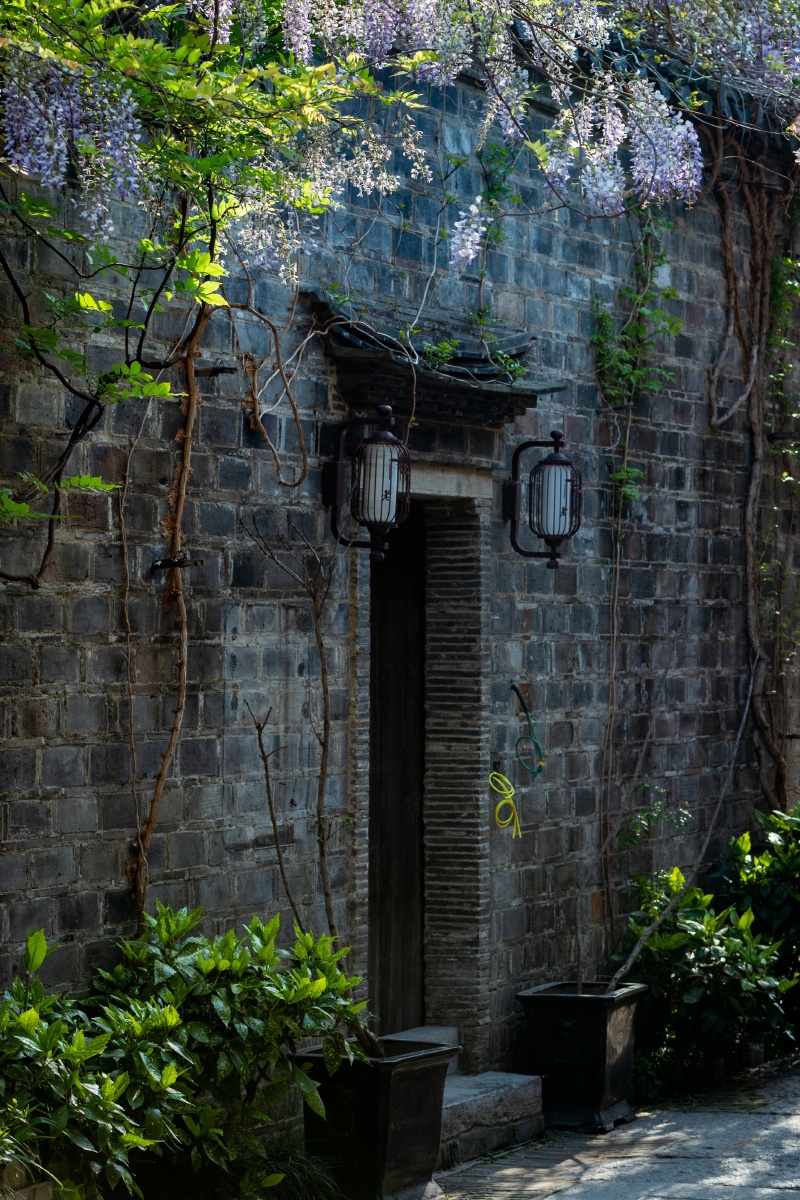 Darhan89072802's tweet photo. [By the wall, the crow falls—suddenly, it feels like a quiet heart is at peace here.]， https://t.co/8wRgoCbNgl