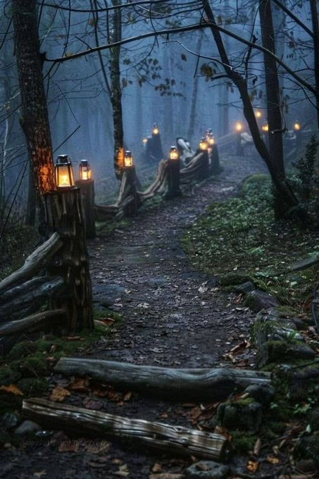 A misty forest path at dusk is lined with a rustic wooden railing adorned with glowing vintage lanterns, creating an atmospheric scene.