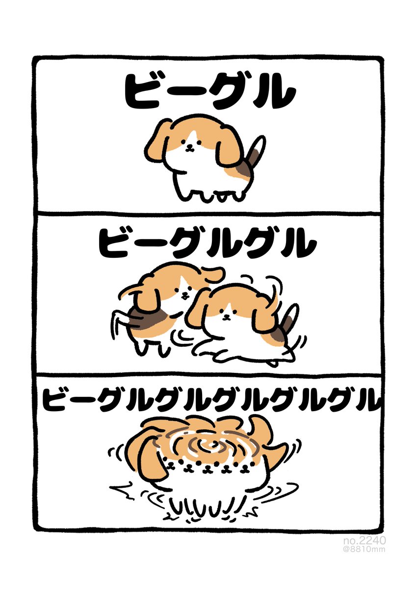 8810mm's tweet photo. ビーグルグルグルグルグル https://t.co/OfRBo4CIkj