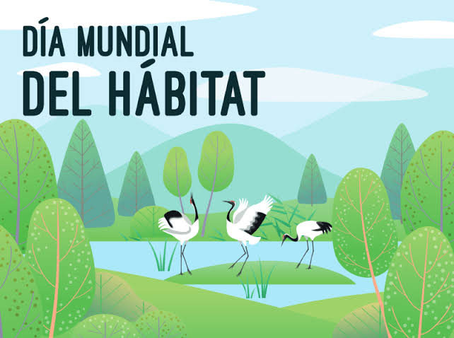 universidad_uci's tweet photo. 🌳🌲 En el #DíaMundialDelHábitat reflexionamos sobre la importancia de construir espacios inclusivos, sostenibles y resilientes que garanticen una mejor calidad de vida para las personas. Promover entornos adecuados es también fomentar bienestar, equidad y desarrollo. 🌵
@CubaMES https://t.co/ZI0T7HoFrj