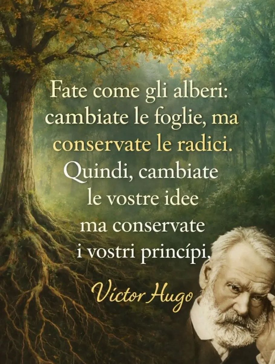 doriadepolo's tweet photo. Le foglie cambiano, le stagioni passano, ma le radici restano.
E in quella fedeltà silenziosa c’è la vera forza di chi cresce senza perdersi. https://t.co/hRjryqoL2w