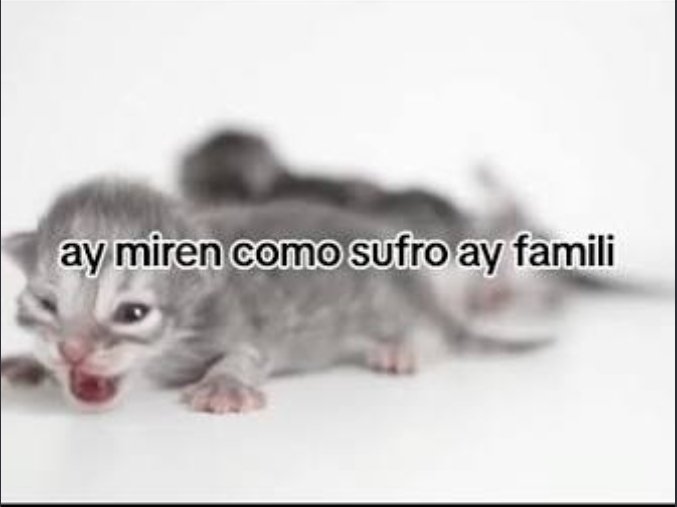 fedrismo's tweet photo. Ferran era este https://t.co/9Nu0GH38xR
