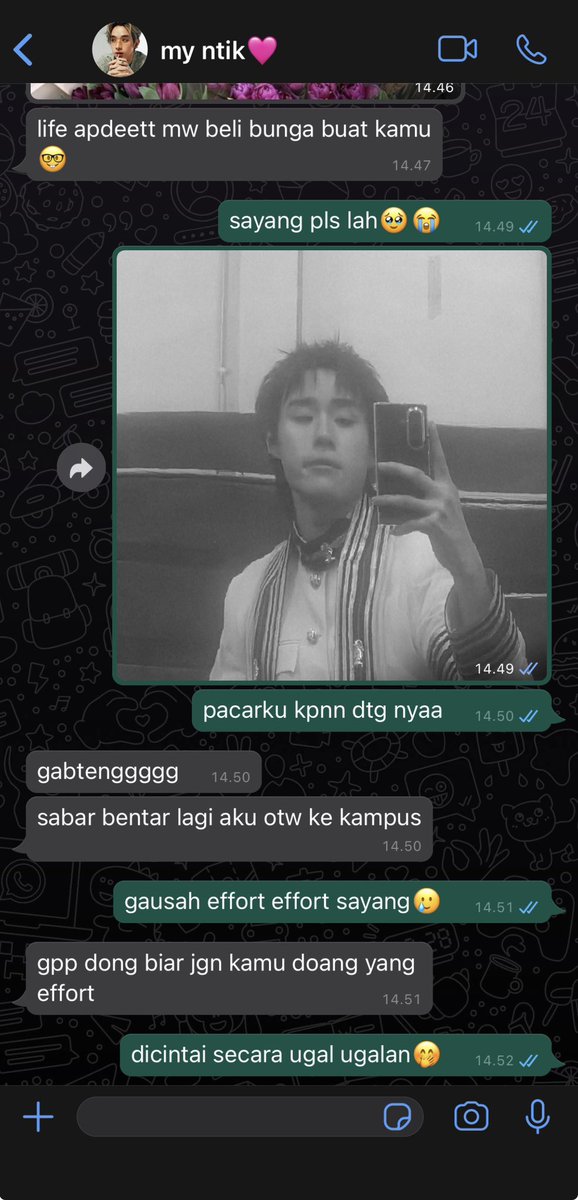 westiesforlyfe's tweet photo. #nuthong au secuil. https://t.co/JoRxwuYH4R
