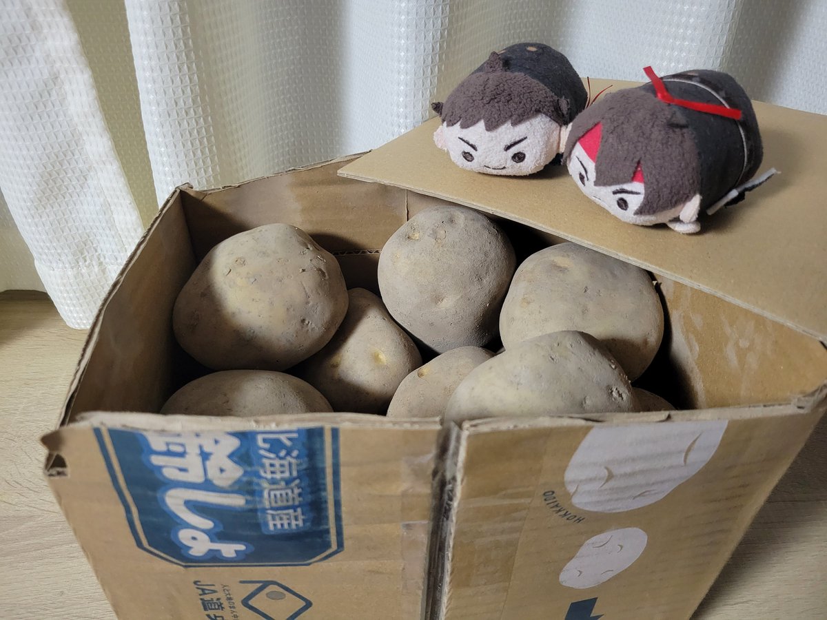 tooyummmy's tweet photo. ✨🥔 SUPER OJAGA FESTIVAL 🥔✨
男爵いも祭りのはじまりはじまり～～ https://t.co/ksVSAbb5ie
