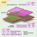 Photo by Cell Reports Physical Science (@CellRepPhysSci)