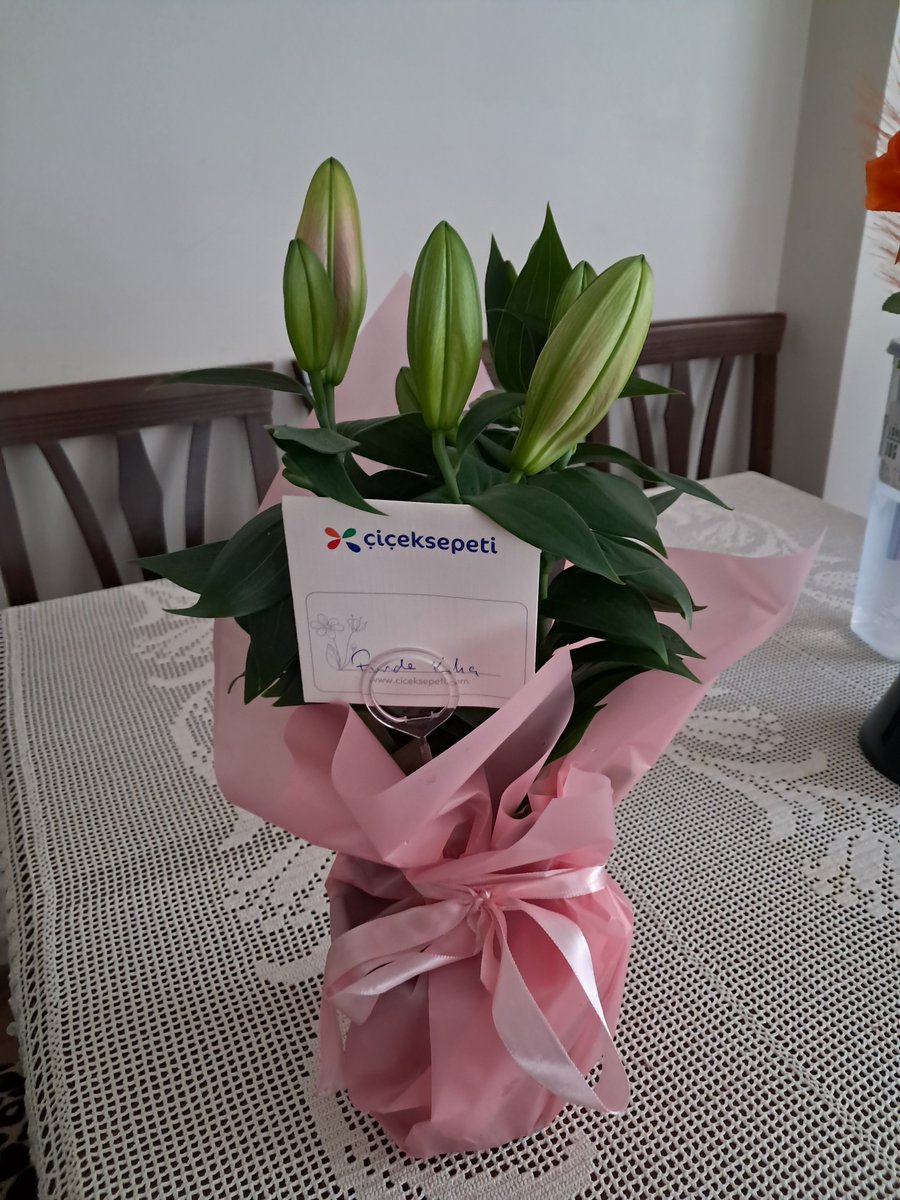 fundakilic7's tweet photo. Çiçeklerin koparılıp buket yapılmasına kıyamam ama saksı çiçekleri için farklı düşünüyorum. Kardeşime teşekkür ederim 😊💕🪻🌷🌹🌺 https://t.co/8VImAXmavq